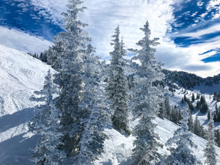 View of the slopes of Alta ski resort in Utah.