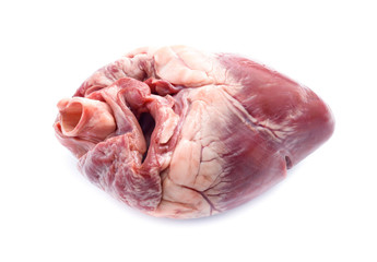 raw pig heart close-up isolated on white background