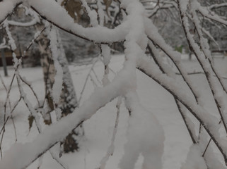 Obraz premium Winter night