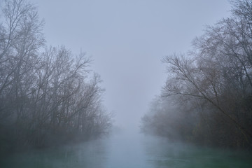 Obraz na płótnie Canvas Rio y árboles en la niebla