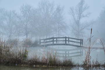 Puente de madera sobre un lago en un dia de niebla