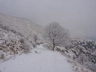 Hiking Path to Monte San Primo in winter