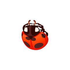 Ladybug with closed shell beetle cartoon bug design flat vector illustration isolated on white background