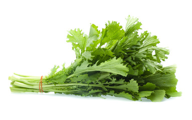 Chinese cabbage on white background