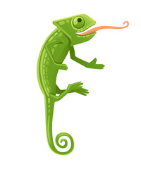 Cute small green chameleon with open mouth and long tongue lizard cartoon animal design flat vector illustration isolated on white background