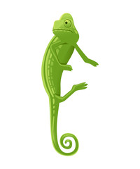 Cute small green chameleon lizard cartoon animal design flat vector illustration isolated on white background © Alfmaler