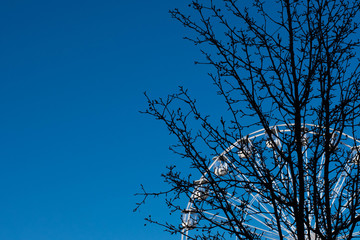 Winter blue sky with Ferris wheel and tree