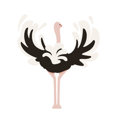 Cute ostrich stay on two legs african flightless bird cartoon animal design flat vector illustration isolated on white background