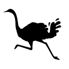 Black silhouette сute ostrich running african flightless bird cartoon animal design flat vector illustration isolated on white background