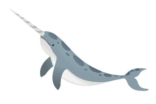 blue narwhal swimming, white background clip art preview