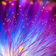 Foto auf Acrylglas Violett Abstraktes unscharfes magentarotes blaues gelbes Licht und natürlicher Hintergrund der Blume.