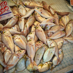 Various fish exposed for selling, in a Sicilian street market stall. Ortigia, Siracusa Province.