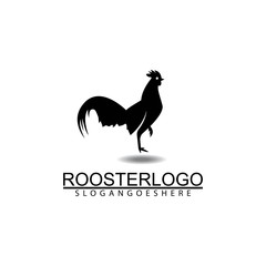 Rooster logo vector illustration template