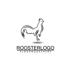 Fototapeta na wymiar Rooster logo vector illustration template