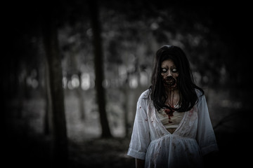 Portrait of asian woman make up ghost face with blood,Horror scene,Scary background,Halloween...