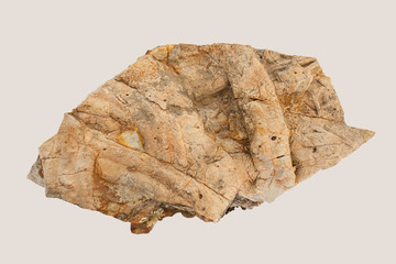 Cruziana, fossil trackways of trilobites