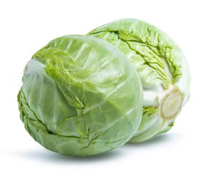 Fototapeta premium green cabbage vegetable isolated on white background
