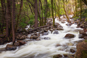 River formed by Bridal Veil waterfall, Yosemite National Park, California