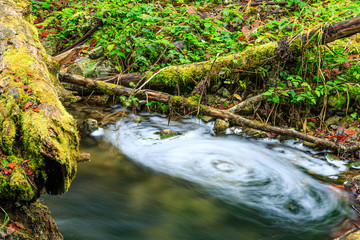 Fluss Gauchach in der Gauchachschlucht