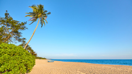 Tropical beach with cloudless sky, Sri Lanka.