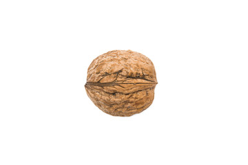 Single walnut isolated on white background