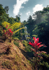 Amanecer en Banyumala Twin Waterfall. Bali, Indonesia.