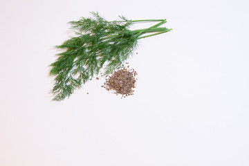 pile of dill seeds and bunch of fresh dill on white background