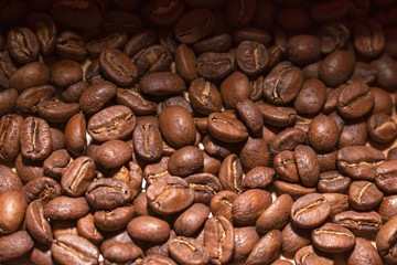 Coffee beans.