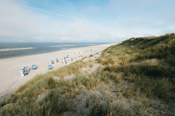 Beach, dune grass and beach chairs on a sunny day at Sylt, Germany