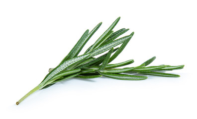 Fototapeta premium rosemary isolated on white background