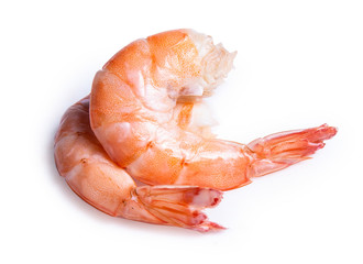 shrimp isolated on white background
