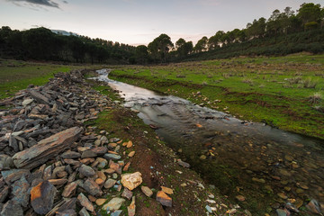 Landscape with a creek, near Granadilla. Extremadura. Spain.