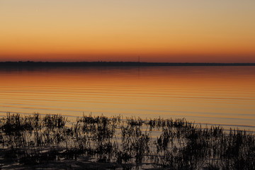 Obraz na płótnie Canvas sunset by the river, reeds, grass, ears of corn. Stroke and calm.