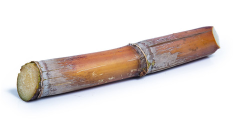 sugarcane isolated on white background clipping path