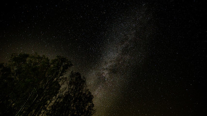 Árboles vía láctea © MiguelÁngel Olivares