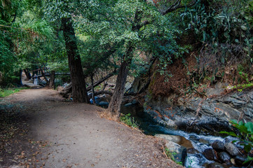 Kakopetria is one of the few villages in the world that can boast of its own park with a stormy river, shady banks and elegant bridges.    