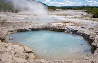 Norris Geyser Basin is the hottest, oldest, and most dynamic of Yellowstone's thermal areas, Yellowstone National Park  Wyoming, USA