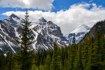 Tall pine trees stand out from the forest in the foreground with the magnificent ice draped, rocky Mount Saint Piran beyond on a partially cloudy day.