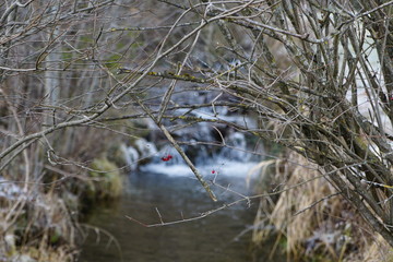 Kleiner Wasserfall im Winter am Alpenrand