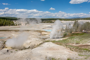 Norris Geyser Basin is the hottest, oldest, and most dynamic of Yellowstone's thermal areas, Yellowstone National Park  Wyoming, USA