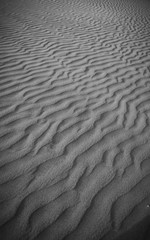 desert lines and pattern in black and white 