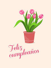 spanish birthday card with bouquet of tulips in the pot