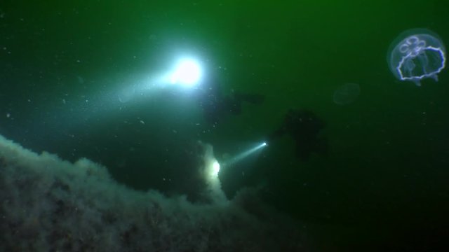 Divers swim over the side of the sunken ship on a green background of the water column.
