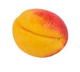 Apricot isolated on white background with clipping path