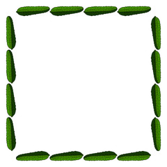 Square frame with horizontal green cucumber. Isolated wreath on white background for your design