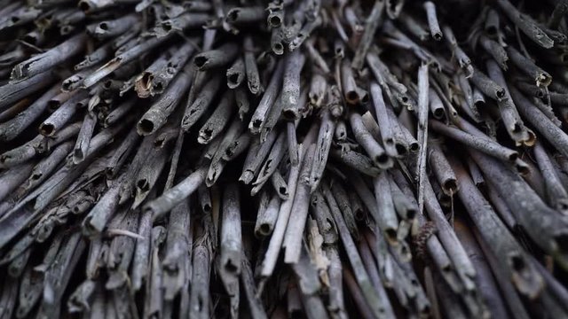 Old reed roof. Natural building materials.