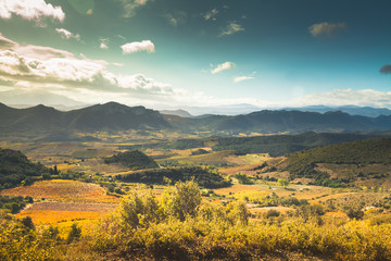 View to valley with vineyards and mountains, Corbieres, France