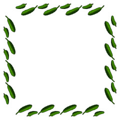 Square frame with horizontal drawing cucumber. Isolated wreath on white background for your design