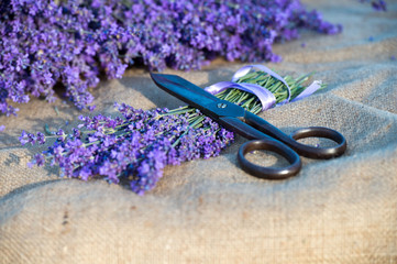 Obraz na płótnie Canvas Basket with lavender flowers. Aromatherapy. Nature Cosmetics.