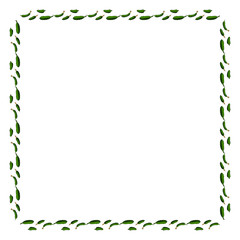 Square frame with horizontal tasty cucumber. Isolated wreath on white background for your design